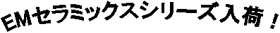 EMZ~bNXV[YׁI